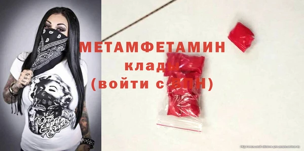 прущие грибы Карпинск