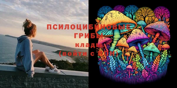 дурь Касимов