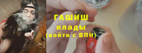 прущие грибы Карпинск