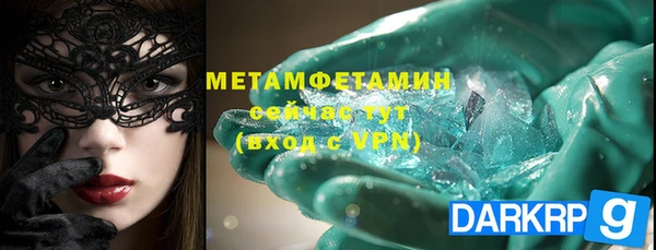 прущие грибы Карпинск