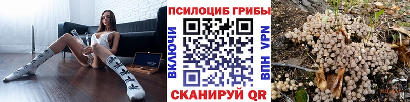 Купить закладки  Заволжье  Галлюциногенные грибы Cubensis 