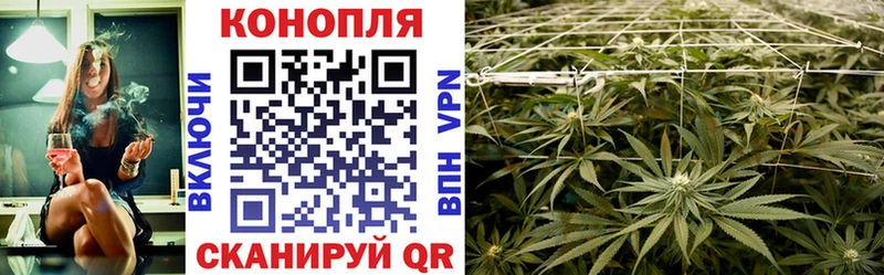 Конопля семена  Купить  Заволжье 